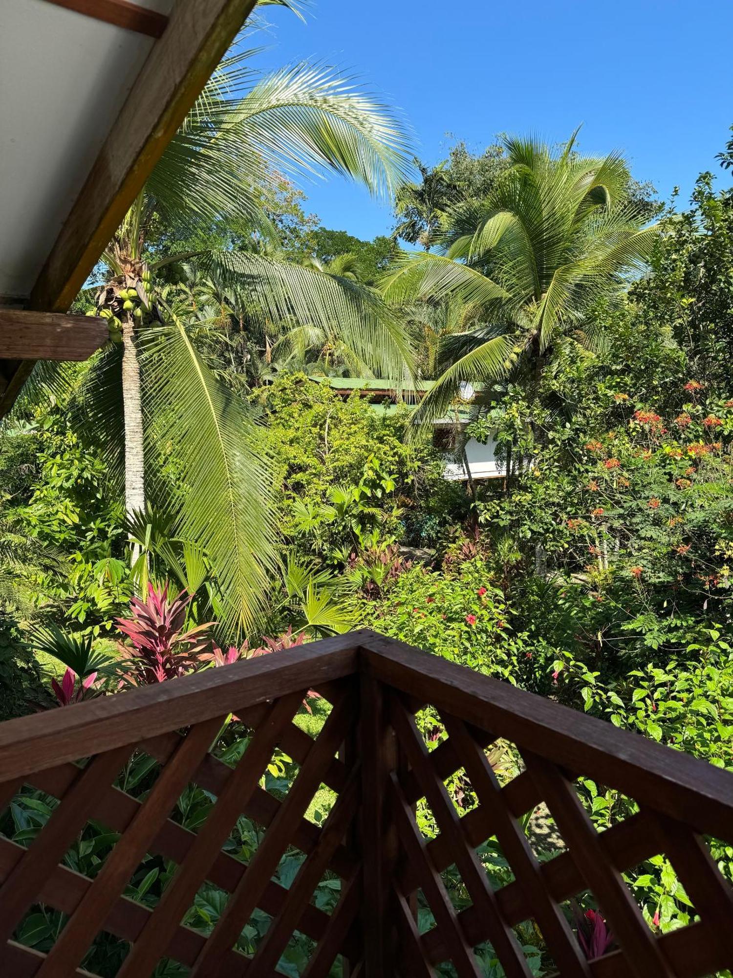 Passion Fruit Lodge Кауита Экстерьер фото