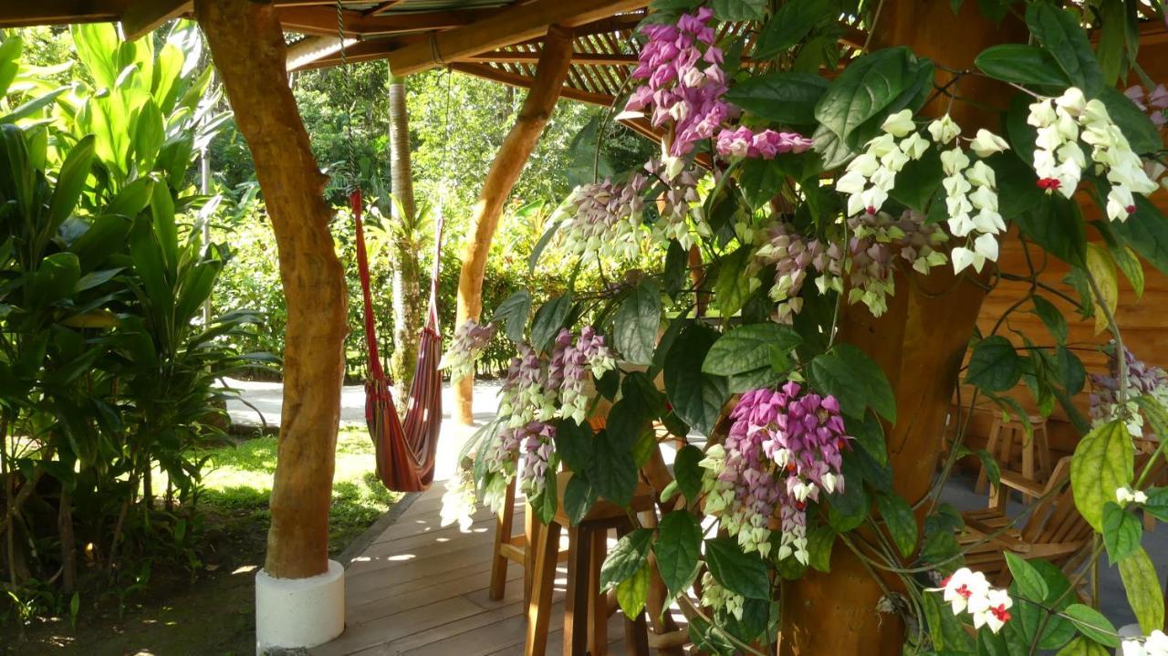 Passion Fruit Lodge Кауита Экстерьер фото